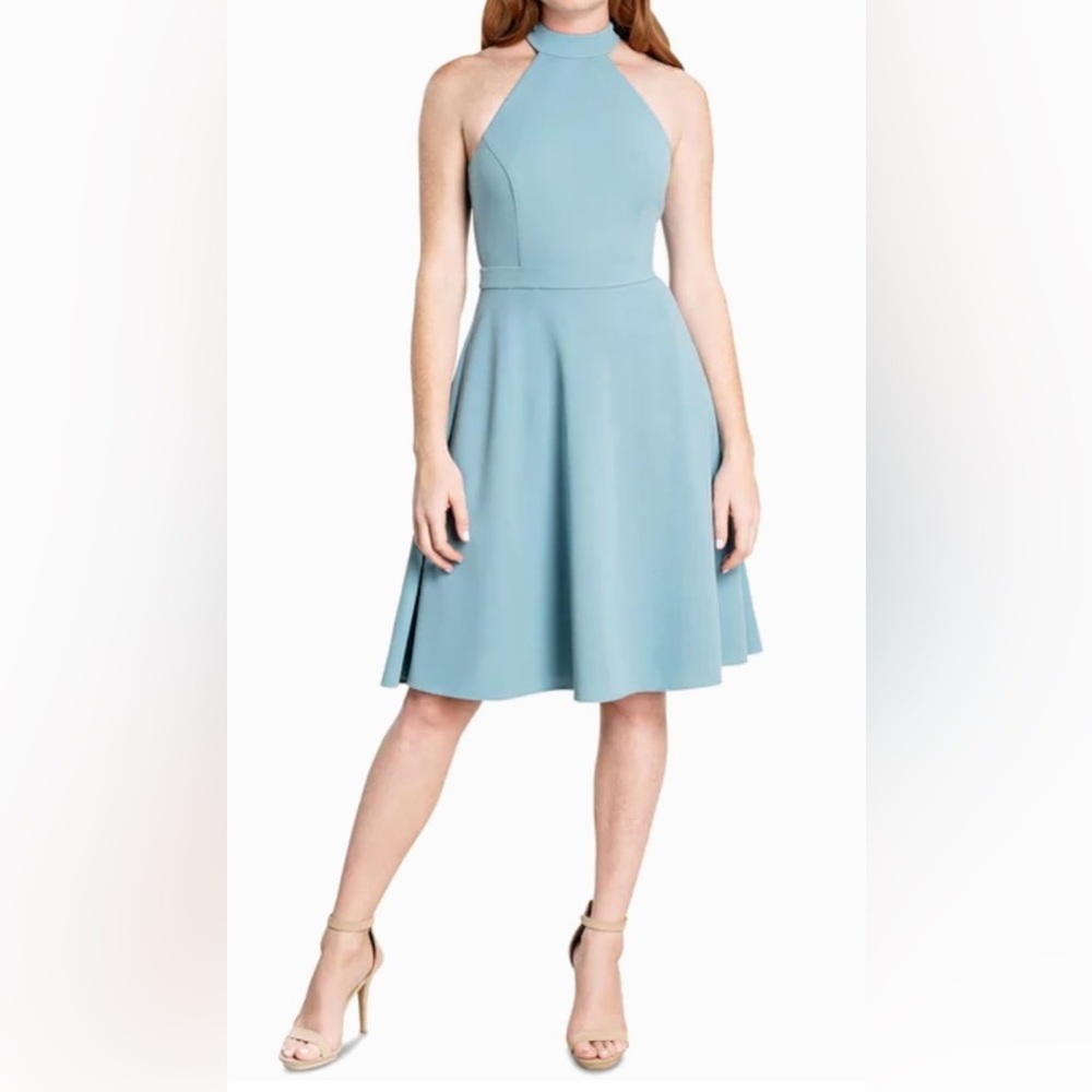 Dress the Population Halter Neck Blue Dress